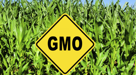 Genetically Modified Foods: Helpful or Harmful? | Piedmont Healthcare