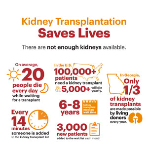 Kidney Living Donor Infographics