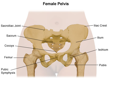Spine Pelvis Problems
