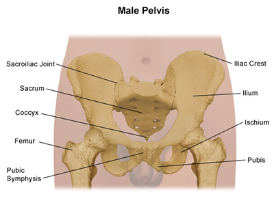 Spine Pelvis Problems