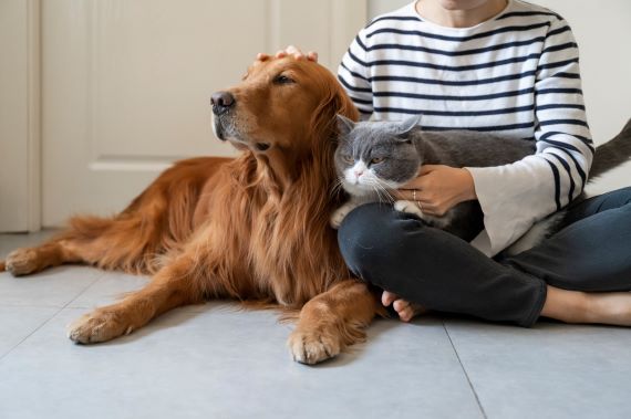 photo of a woman sitting on the ground with a cat on her lap and golden retriever by her side