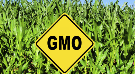 Genetically modified foods