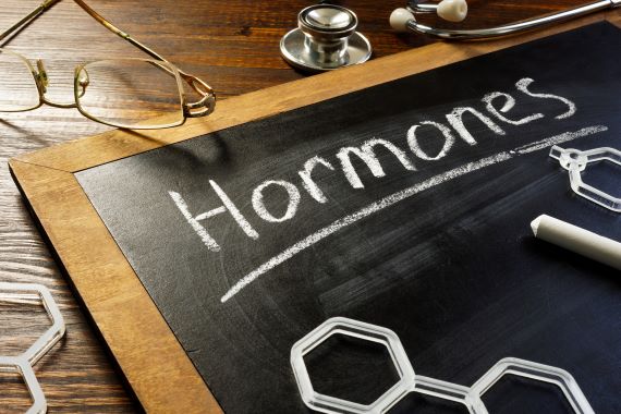 the word hormones written on a chalk board