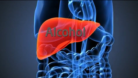 Liver and alcohol diagram