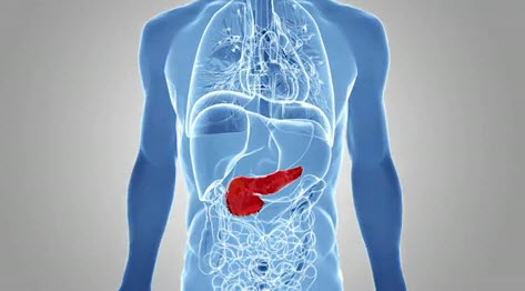 Pancreatic cancer treatment 