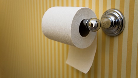 A roll of toilet paper.