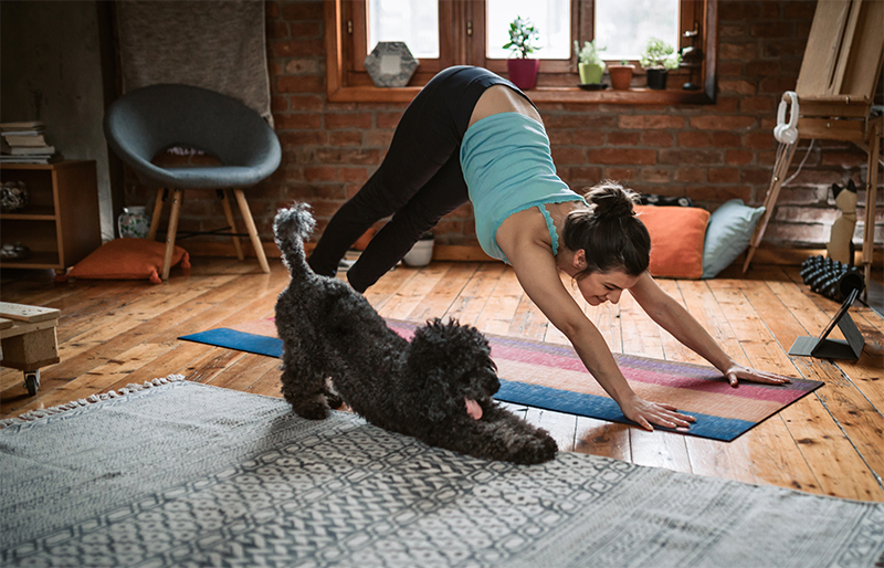 A woman does yoga at home with her dog.