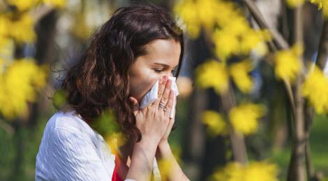 Spring allergies