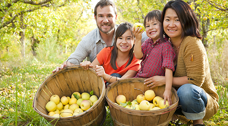 Apple picking in Georgia