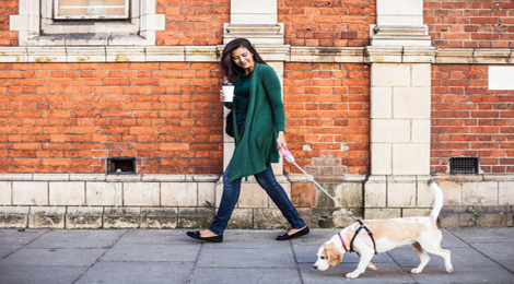 Woman walking her dog down the street.