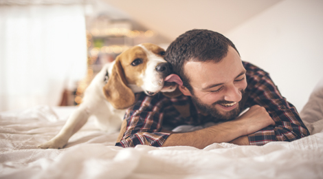 Man and dog relaxing at home. 