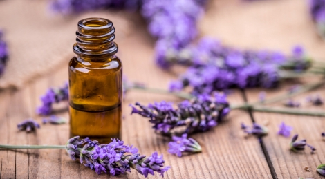 best smelling essential oil blends