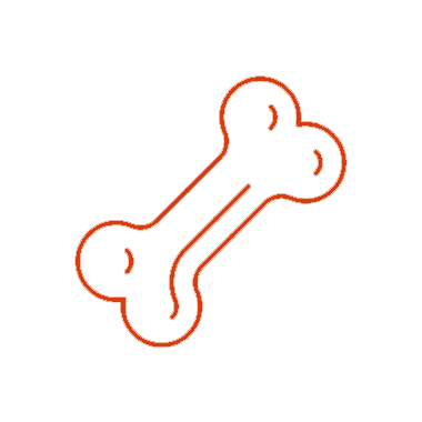 Icon of a bone
