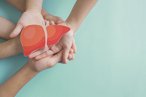 Image of a paper heart with hands holding it
