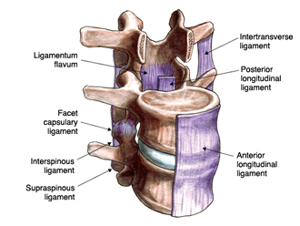 Lumbar Laminotomy and Laminectomy 