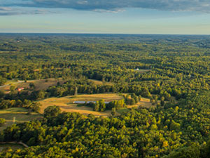 Photo of a Toccoa field