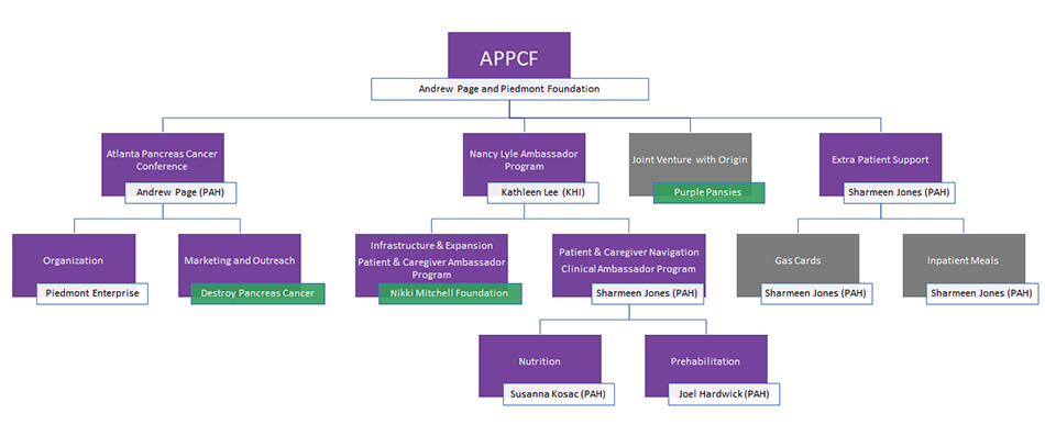Organizational chart of the Andrew Page Pancreas Cancer Fund 