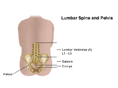 Lower back pain