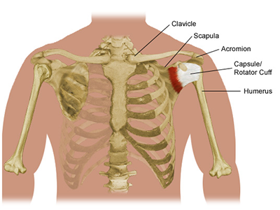 shoulder imjury