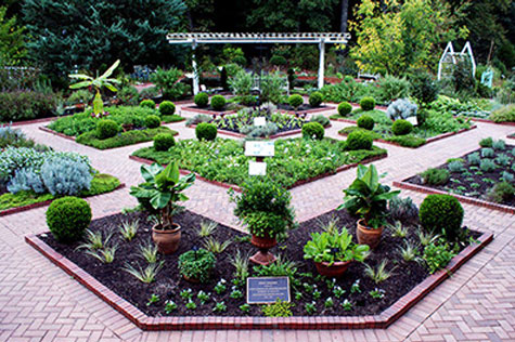 Photo of a garden in Athens