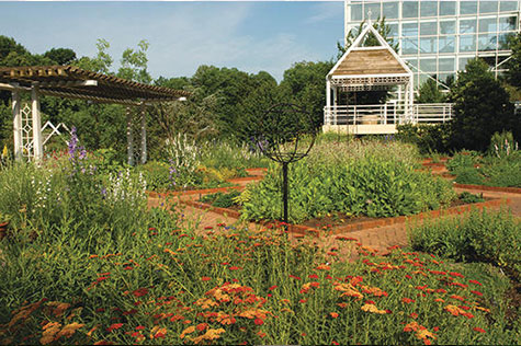 Botanical Garden in Athens